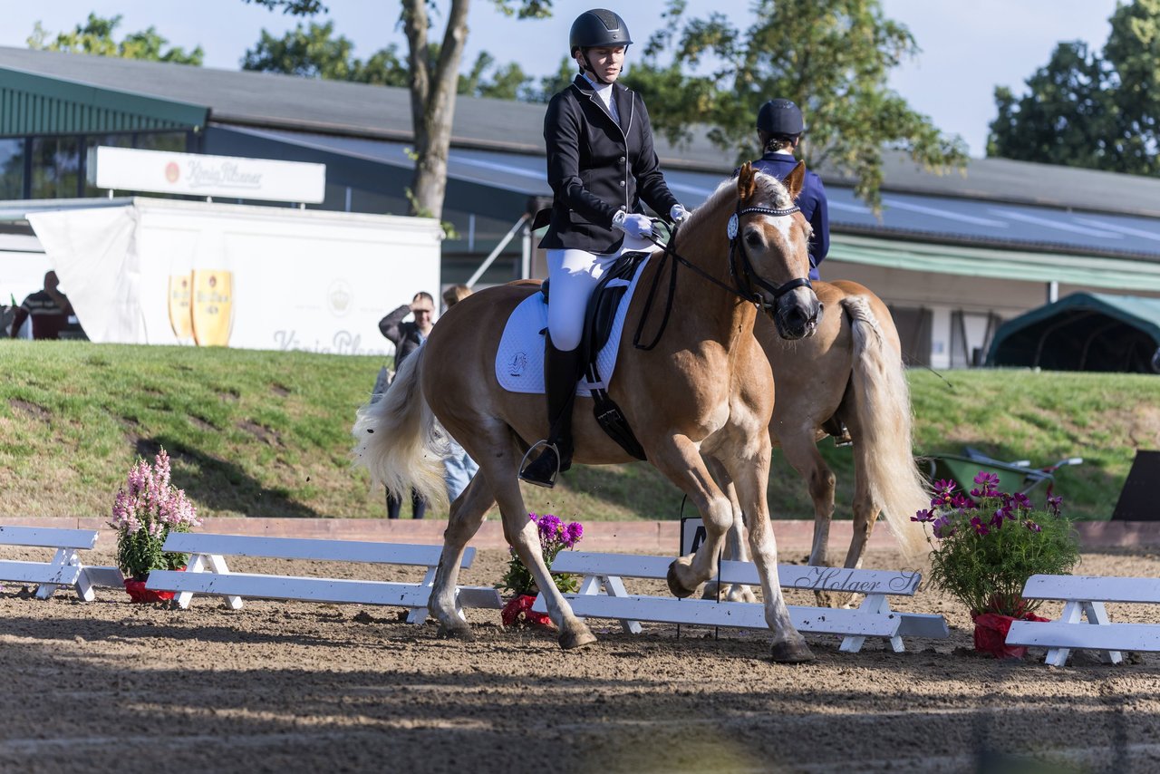 Bild 164 - Pony Akademie Turnier